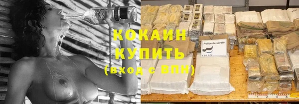 ECSTASY Бородино