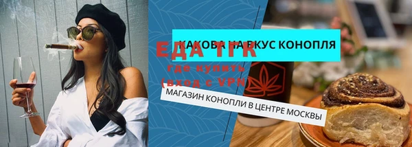 ECSTASY Бородино