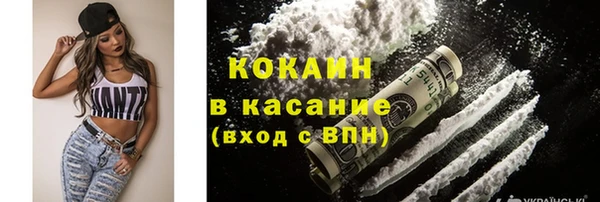 ECSTASY Бородино
