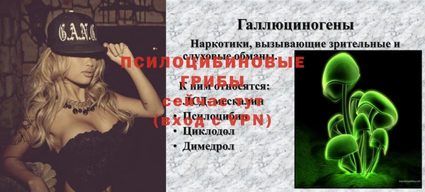 а пвп мука Богданович