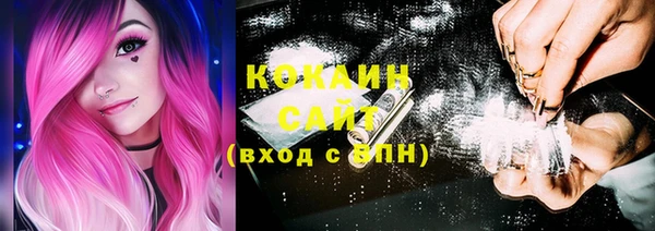ECSTASY Бородино