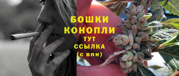 ECSTASY Бородино