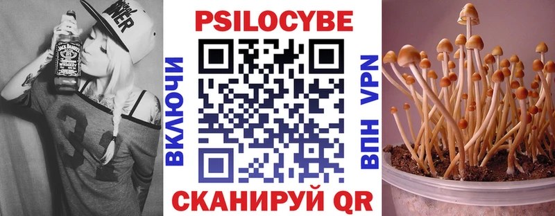 Купить  Пестово  Псилоцибиновые грибы ЛСД 